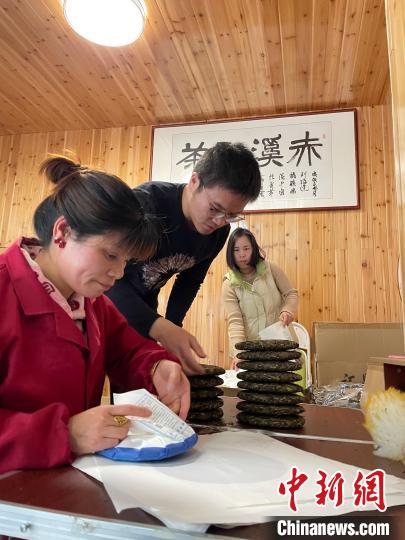 資料圖：杜贏(左二)在整理白茶餅?！×执阂?攝